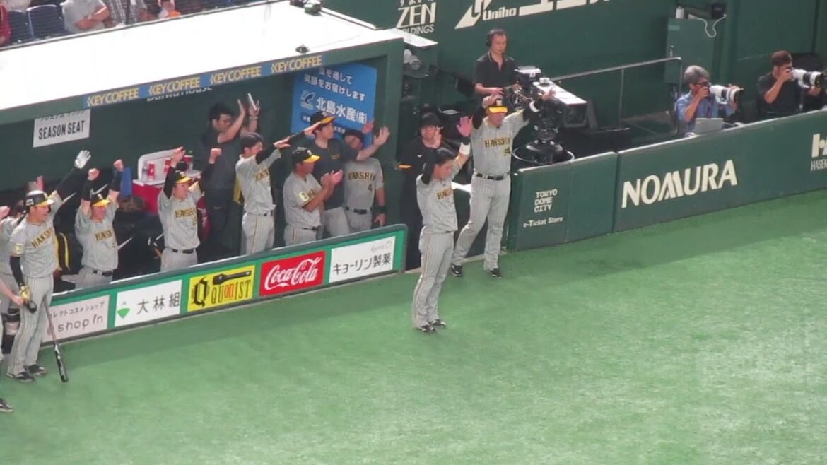 渡邉諒に勝ち越し3点タイムリーヒットが出た時のタイガースベンチの様子（2024年8月13日 読売ジャイアンツ 対 阪神タイガース）