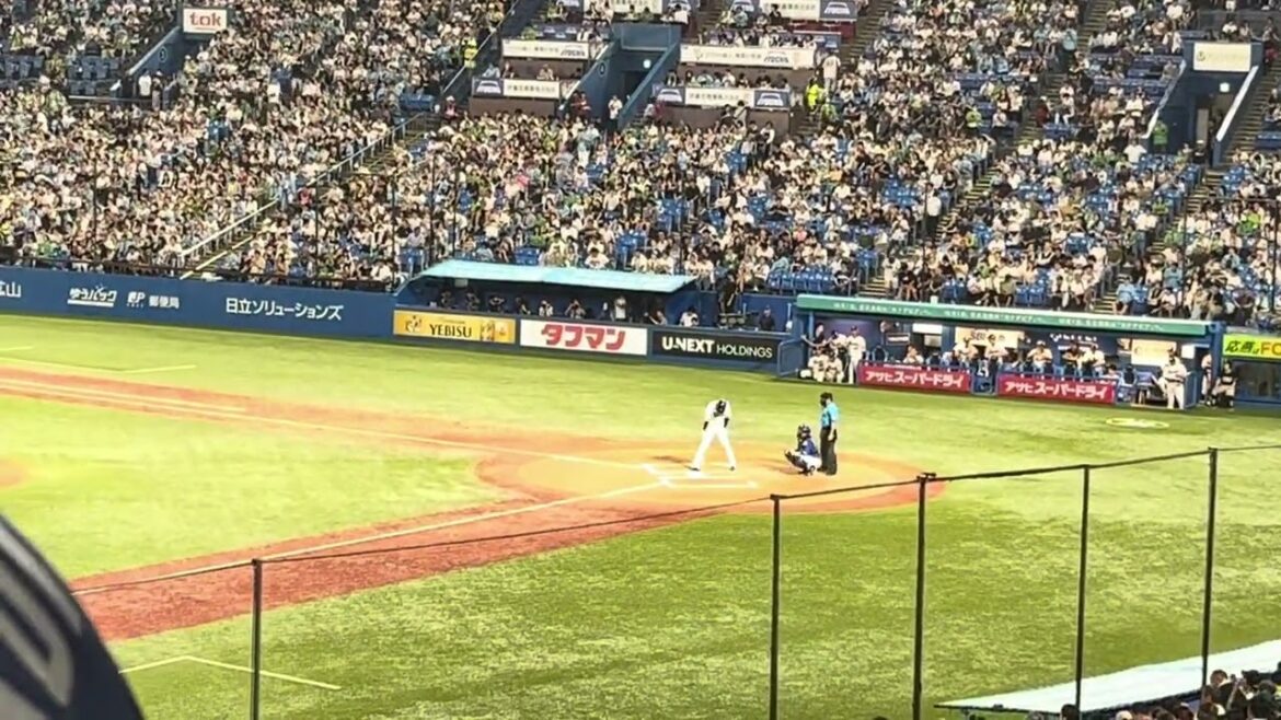 2024.8.14太田賢吾応援歌【明治神宮球場】