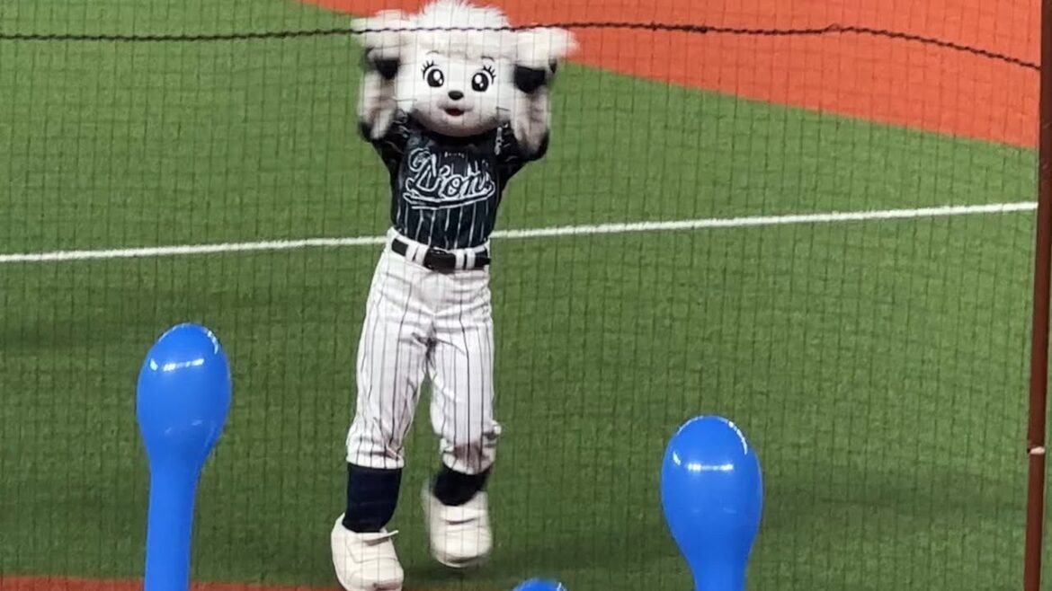 ライナちゃんが真正面で踊る『吠えろライオンズ』【西武vsオリックス】2024/8/21 ライオンズフェスティバルズ ライナちゃんが真正面で踊る『吠えろライオンズ』【西武vsオリックス】2024/8/21 ライオンズフェスティバルズ