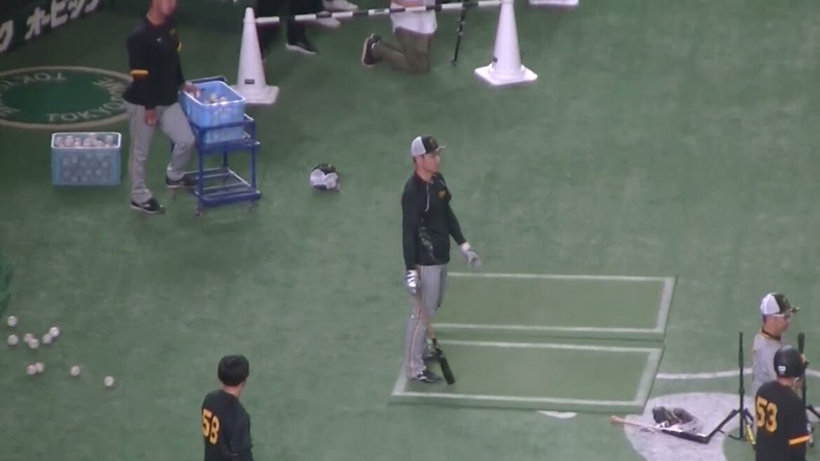 タイガース榮枝裕貴のトスバッティング（2024年8月13日 読売ジャイアンツ 対 阪神タイガース）