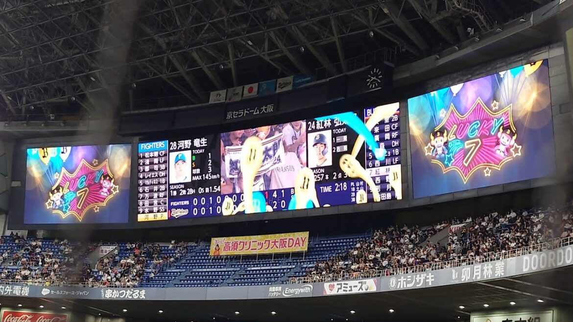 紅林弘太郎 選手 ｢いつもここから  アルゴリズムこうしん｣ 奇数打席 登場曲 オリックス･バファローズ 選手 ビジョン映像 演出 @ 京セラドーム 2024 Bs夏の陣