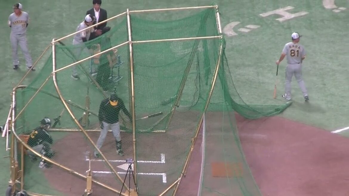 タイガース長坂拳弥のフリーバッティング（2024年8月13日 読売ジャイアンツ 対 阪神タイガース）