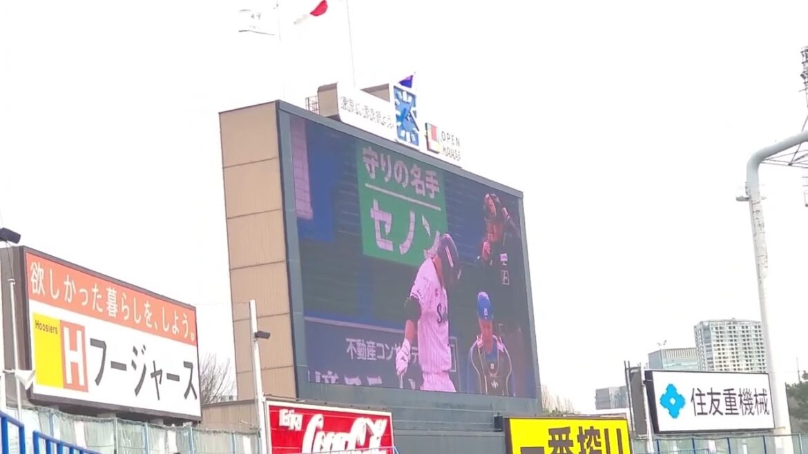 20240319　神宮に響く【青木宣親 応援歌】　2回ｳﾗ　東京ﾔｸﾙﾄｽﾜﾛｰｽﾞ@神宮球場･ﾚﾌﾄ外野 明治神宮野球場 ｵｰﾌﾟﾝ戦