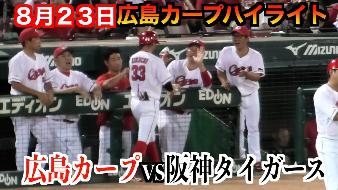 【カープファン目線】広島東洋カープvs阪神タイガース　広島カープハイライト【２０２４／８／２３＠マツダスタジアム】