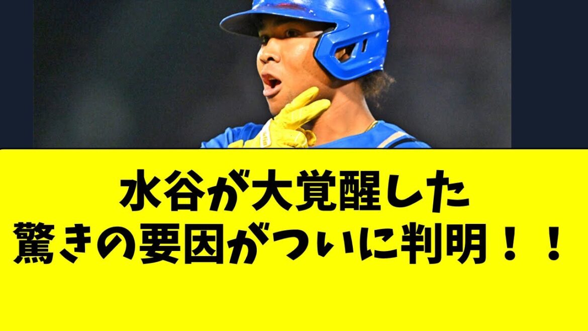 【日ハム】水谷瞬が大覚醒した、驚きの要因が判明！