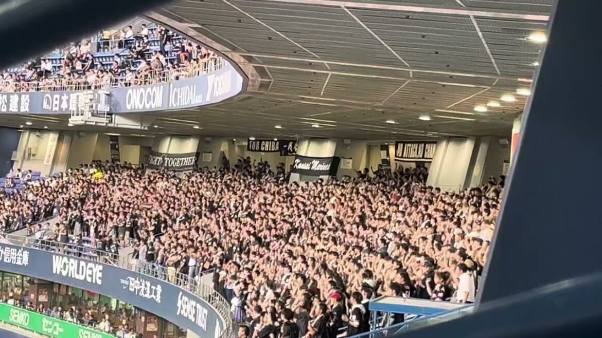 2024.8.23藤原恭大応援歌【京セラドーム大阪】