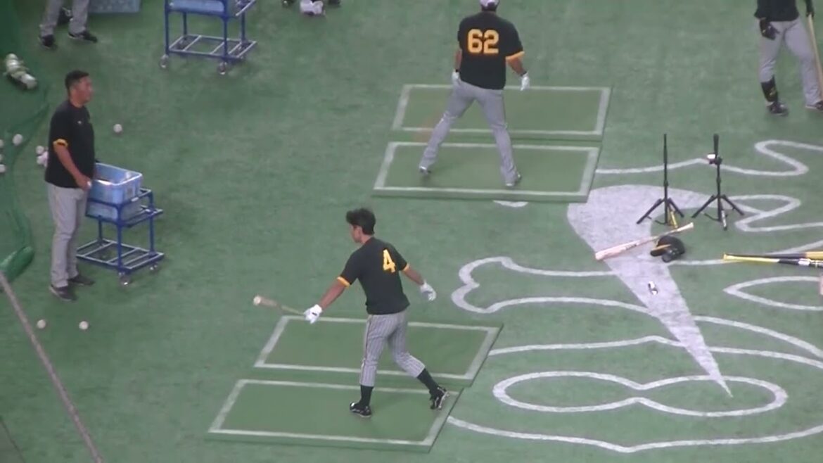 タイガース熊谷敬宥のトスバッティング（2024年8月13日 読売ジャイアンツ 対 阪神タイガース）