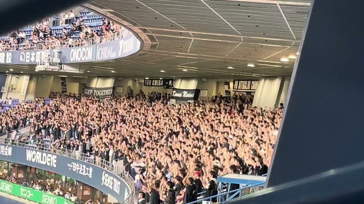 2024.8.23角中勝也応援歌【京セラドーム大阪】