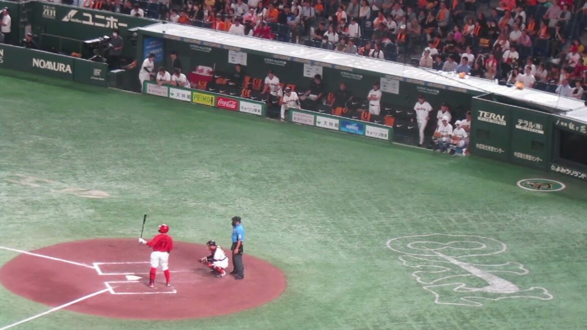 會澤翼を三振に抑えた時のジャイアンツベンチの様子（読売ジャイアンツ対 広島カープ 2024年6月29日）