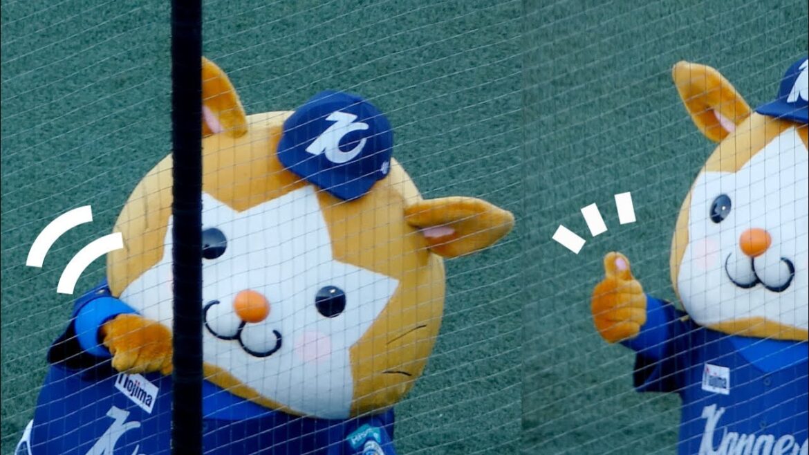 キレのあるスターマンのデスターシャ！🐹 【横浜DeNAベイスターズ 2024/8/17】