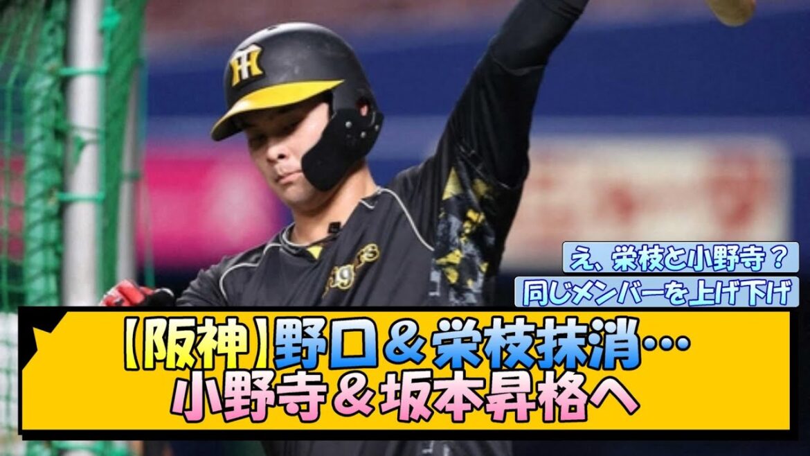 【阪神】野口＆栄枝抹消…小野寺＆坂本昇格へ【なんJ/2ch/5ch/ネット 反応 まとめ/阪神タイガース/岡田監督/栄枝裕貴/野口恭佑/坂本誠志郎/小野寺暖】