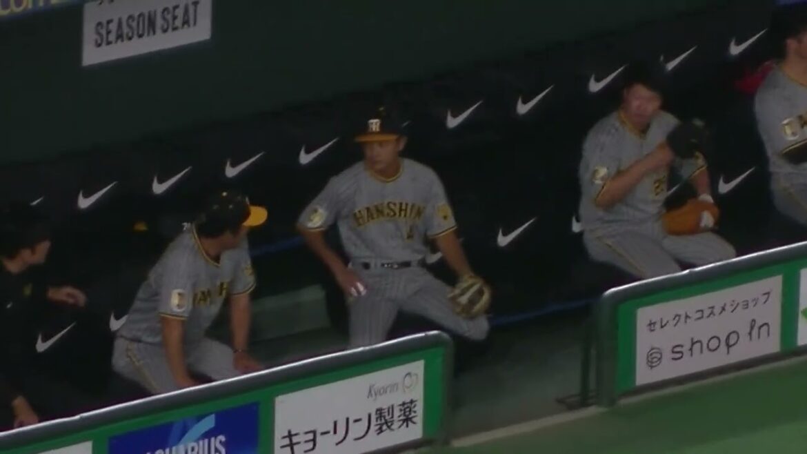 ベンチで楽しそうなベンチの渡邉諒や中野拓夢など（2024年8月13日 読売ジャイアンツ 対 阪神タイガース）