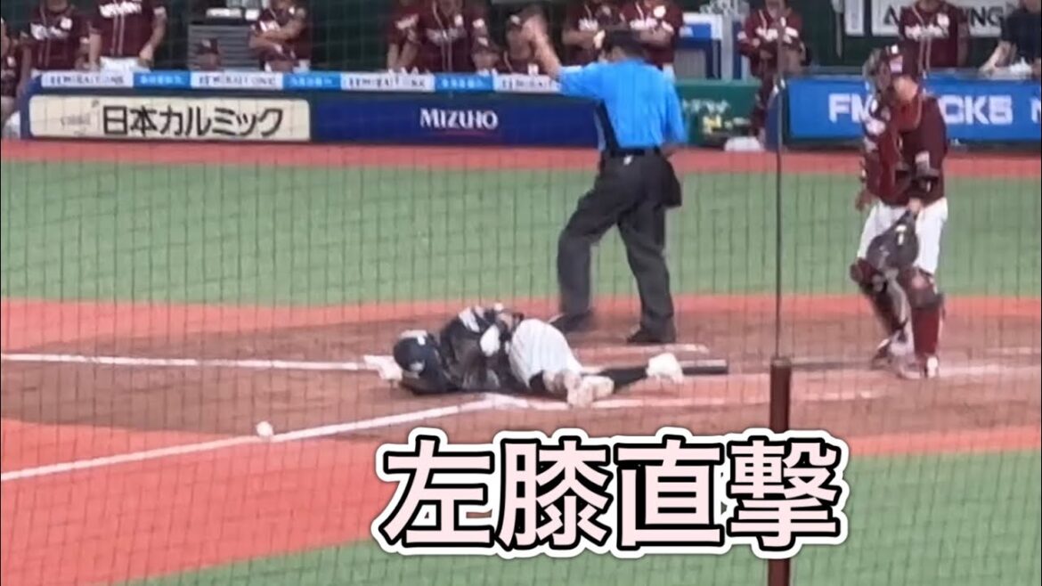 【8回裏】1ヒット3四死球で1点返すライオンズ 【西武vs楽天】2024/8/23 ライオンズフェスティバルズ