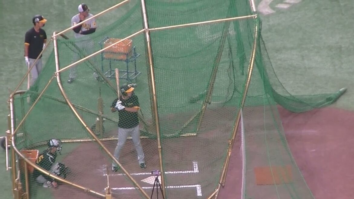 タイガース植田海のフリーバッティング（2024年8月13日 読売ジャイアンツ 対 阪神タイガース）