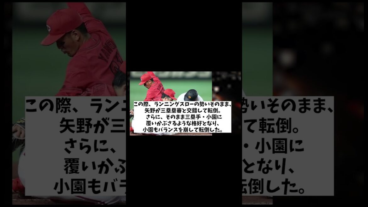 巨人・亀井コーチの行動がSNSで絶賛の嵐wwwwwww【野球情報】【2ch 5ch】【なんJ なんG反応】【野球スレ】