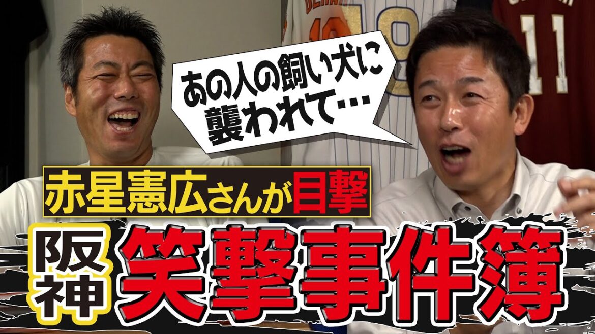 「金本さんは頭おかしい」骨折直後の狂った探し物!?新井貴浩監督の大失敗!?酔うとヤバい大先輩!?赤星憲広さんが語るキャラが濃すぎる阪神事件簿【あの外国人選手の爆笑イタズラ】【④/5】 「金本さんは頭おかしい」骨折直後の狂った探し物!?新井貴浩監督の大失敗!?酔うとヤバい大先輩!?赤星憲広さんが語るキャラが濃すぎる阪神事件簿【あの外国人選手の爆笑イタズラ】【④/5】