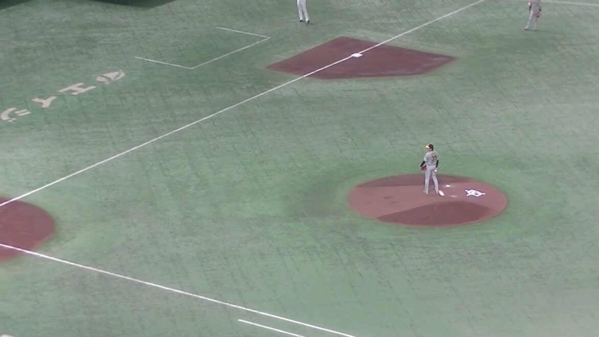 長野久義の打球をとる中野拓夢（2024年8月13日 読売ジャイアンツ 対 阪神タイガース）