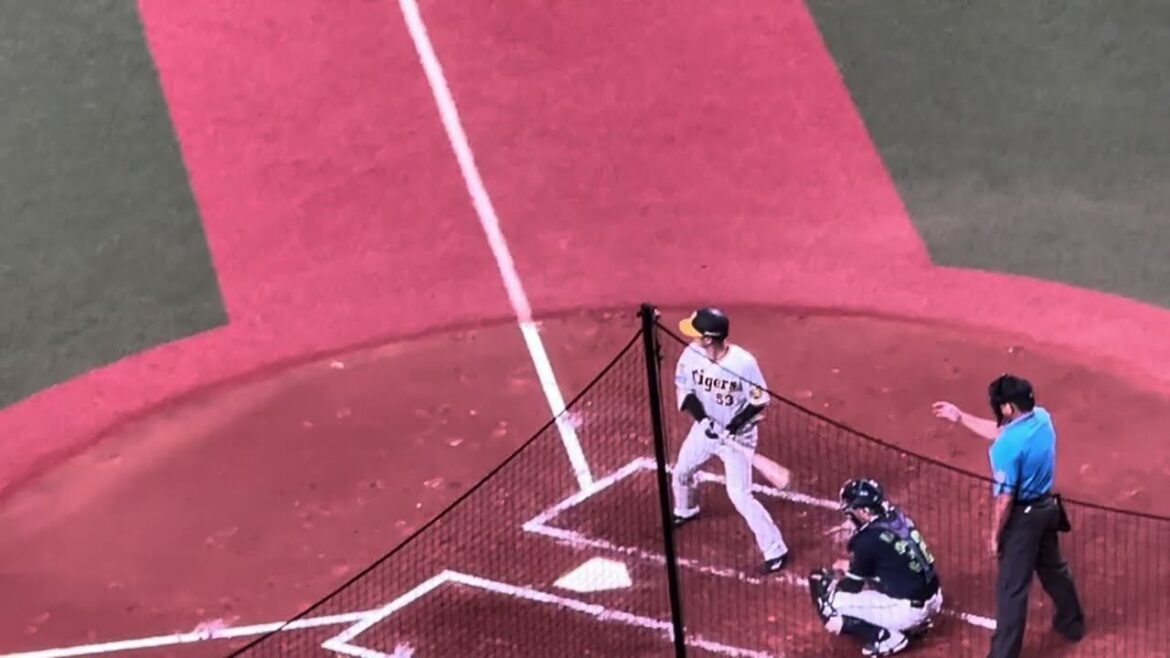 【スタメン即回答】  #阪神  #島田海吏 選手らいとへタイムリーツーベースヒット  #京セラドーム大阪 24.8.22.