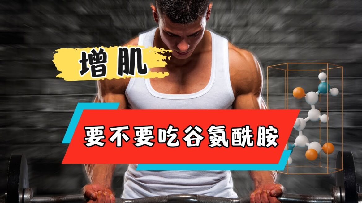 增肌、抗壓、恢復：谷氨酰胺的三重奏效果