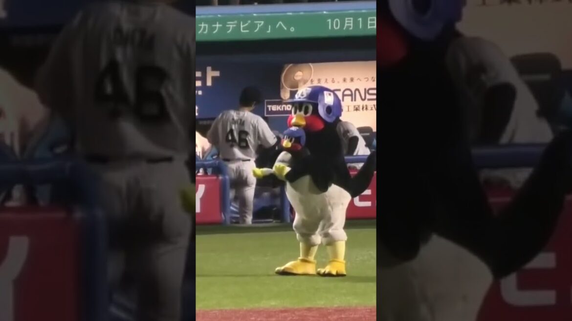 つば九郎、すわ九郎で遊ぶ #東京ヤクルトスワローズ #shorts