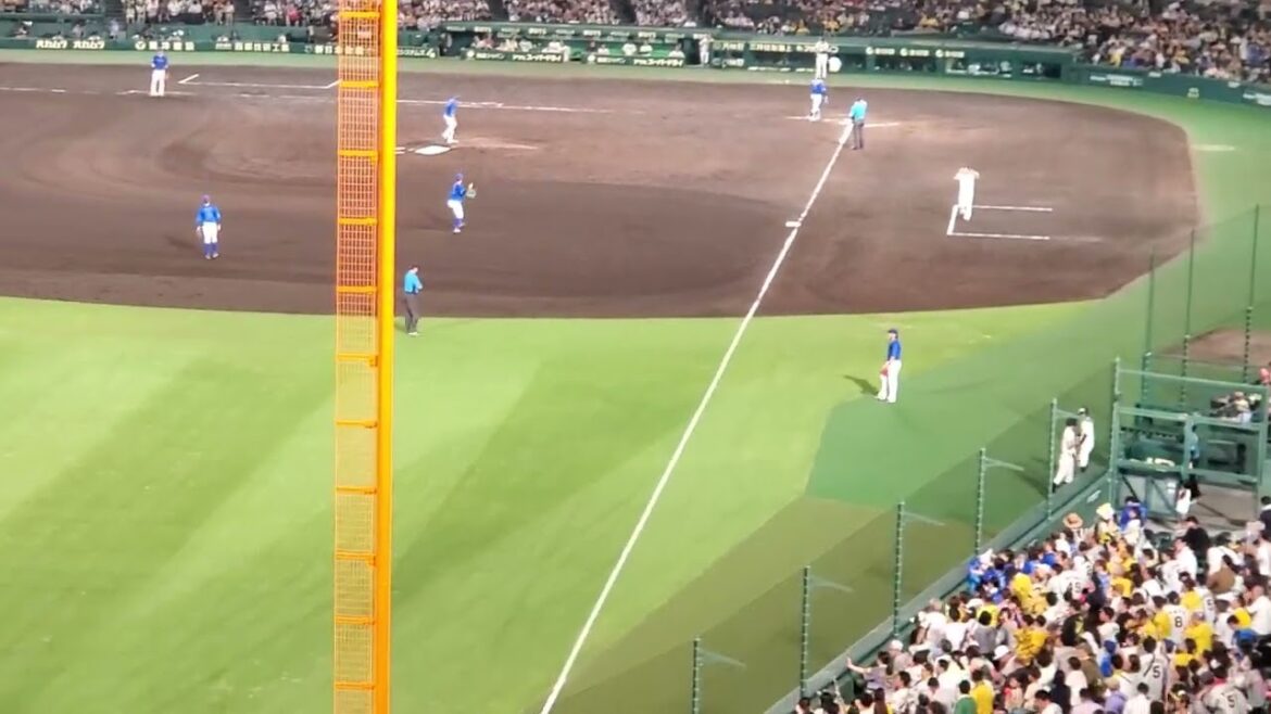 20240705　中川虎大が登板！　阪神タイガース　8回ｳﾗ　攻撃前の3連@阪神甲子園球場･ﾚﾌﾄ外野