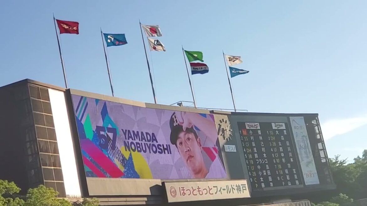 20240721　ﾉﾌﾞこと山田修義が登板！6回表　ｵﾘｯｸｽ･ﾊﾞﾌｧﾛｰｽﾞ@ほっともっとﾌｨｰﾙﾄﾞ神戸･ﾚﾌﾄ外野