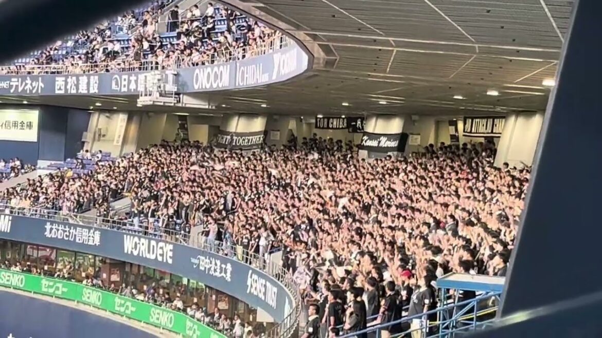 2024.8.23中村奨吾応援歌【京セラドーム大阪】