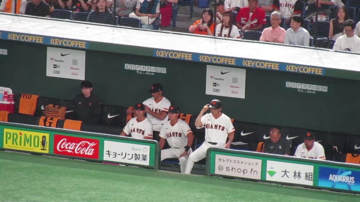 巨人ベンチ郡拓也や湯浅大などの様子（ 読売ジャイアンツ 対 広島カープ 2024年8月20日）