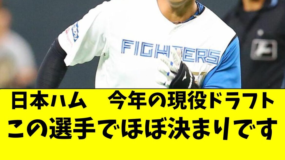 【日本ハム】現役ドラフト候補の選手、完全に絞られた件