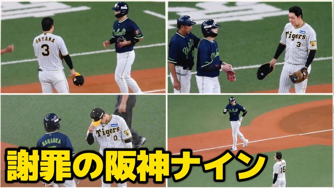 【みんなでごめんなさい】死球を当ててしまった長岡・内山に声をかけて謝りまくる大山・木浪・西勇輝 2024.8.21