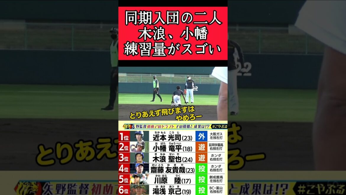 【阪神】木浪、小幡、同期入団２人の練習量！ #阪神 #阪神タイガース #木浪聖也 #小幡竜平 #shorts