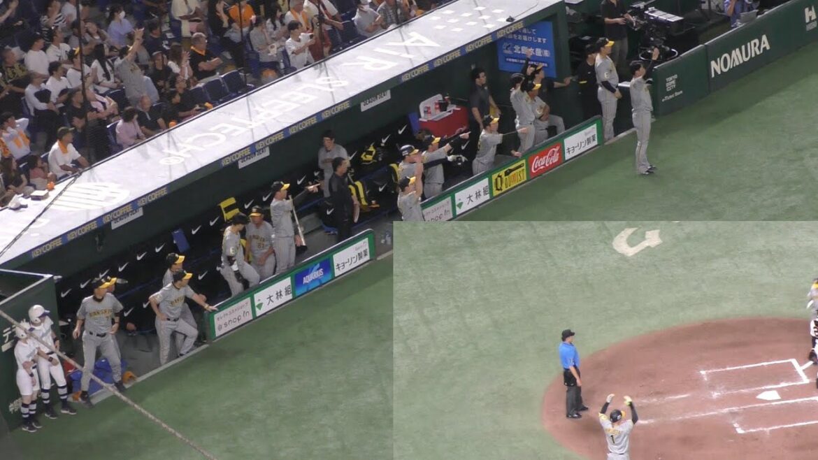 【ベンチの反応】 8月13日 7回表 ランナーなし→満塁からのタイムリーツーベースヒット 読売ジャイアンツ 対 阪神タイガース 東京ドーム 【渡邉諒】 【ベンチの反応】 8月13日 7回表 ランナーなし→満塁からのタイムリーツーベースヒット 読売ジャイアンツ 対 阪神タイガース 東京ドーム 【渡邉諒】