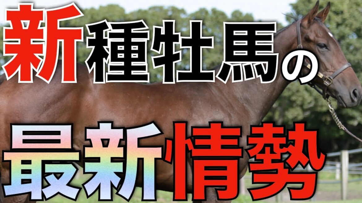 新種牡馬たちの現状を徹底分析!順当な勢力と注目の馬たち。 新種牡馬たちの現状を徹底分析!順当な勢力と注目の馬たち。