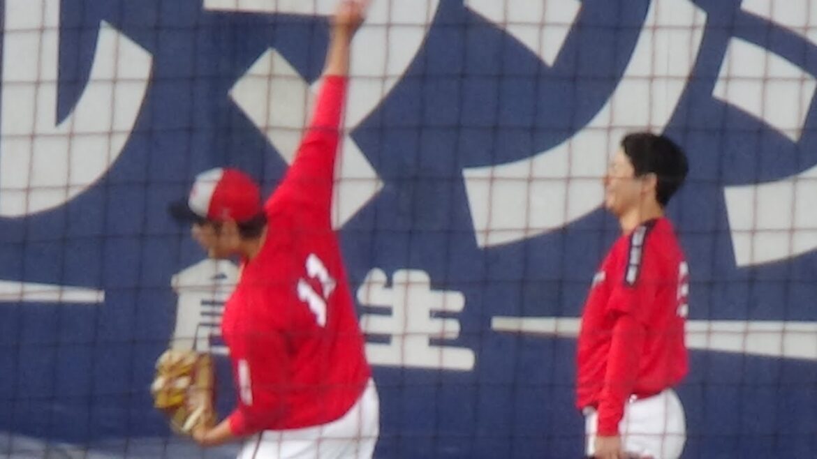 広島東洋カープ 試合前練習 2024.8.9 広島東洋カープ 試合前練習 2024.8.9