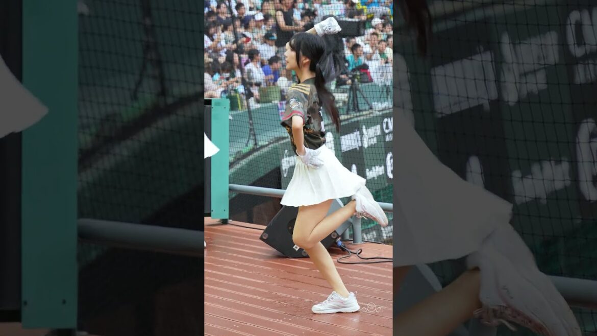 可愛的一粒 吳念庭應援 鷹勇戰士主題日 #一粒 #台鋼雄鷹啦啦隊 台湾プロ野球チア #wingstars #チアリーディングの女の子 안지현 2024/8/24