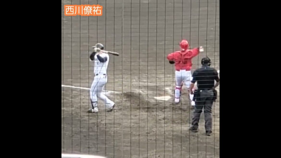 20240413　#西川僚祐 の #バッティング　#打撃　#バッティング打撃　#応援風景　#攻撃風景@ちゅ～るｽﾀｼﾞｱﾑ清水［ｳｴｽﾀﾝ･ﾘｰｸﾞ2軍戦］清水庵原球場