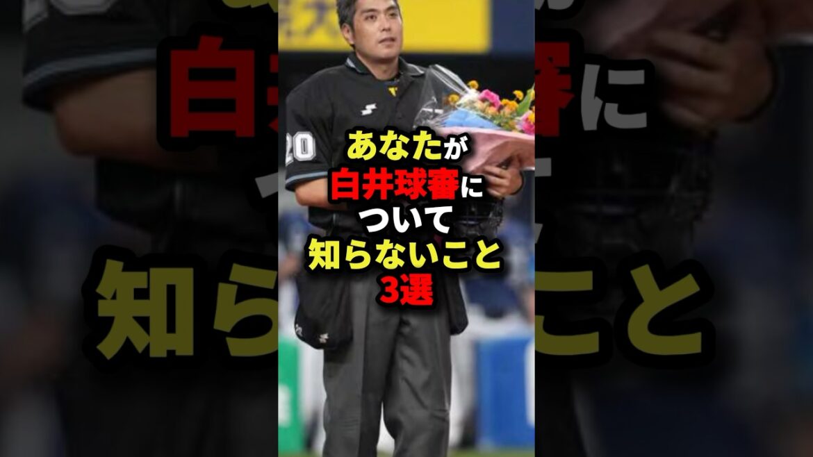 あなたが白井球審について知らないこと3選 #野球