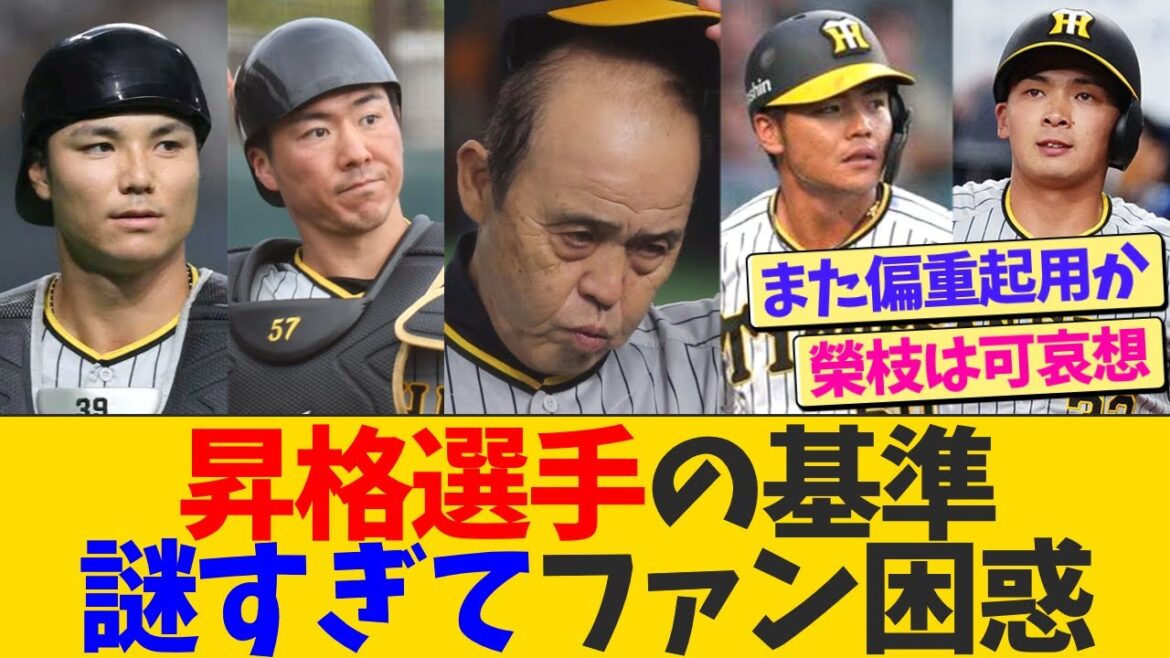 阪神ファン、1軍昇格選手の基準が謎すぎて困惑【なんJ プロ野球反応】