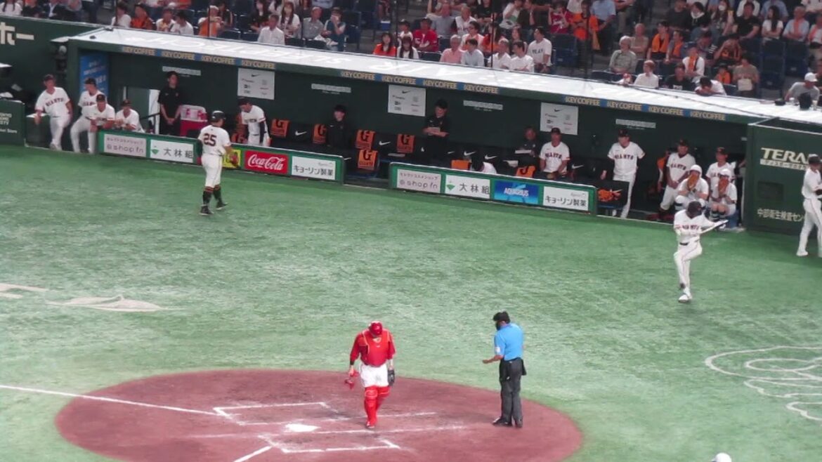 5回 岡本和真と大城卓三のヒットの打席で喜ぶ巨人ベンチ（ 読売ジャイアンツ 対 広島カープ 2024年8月20日）