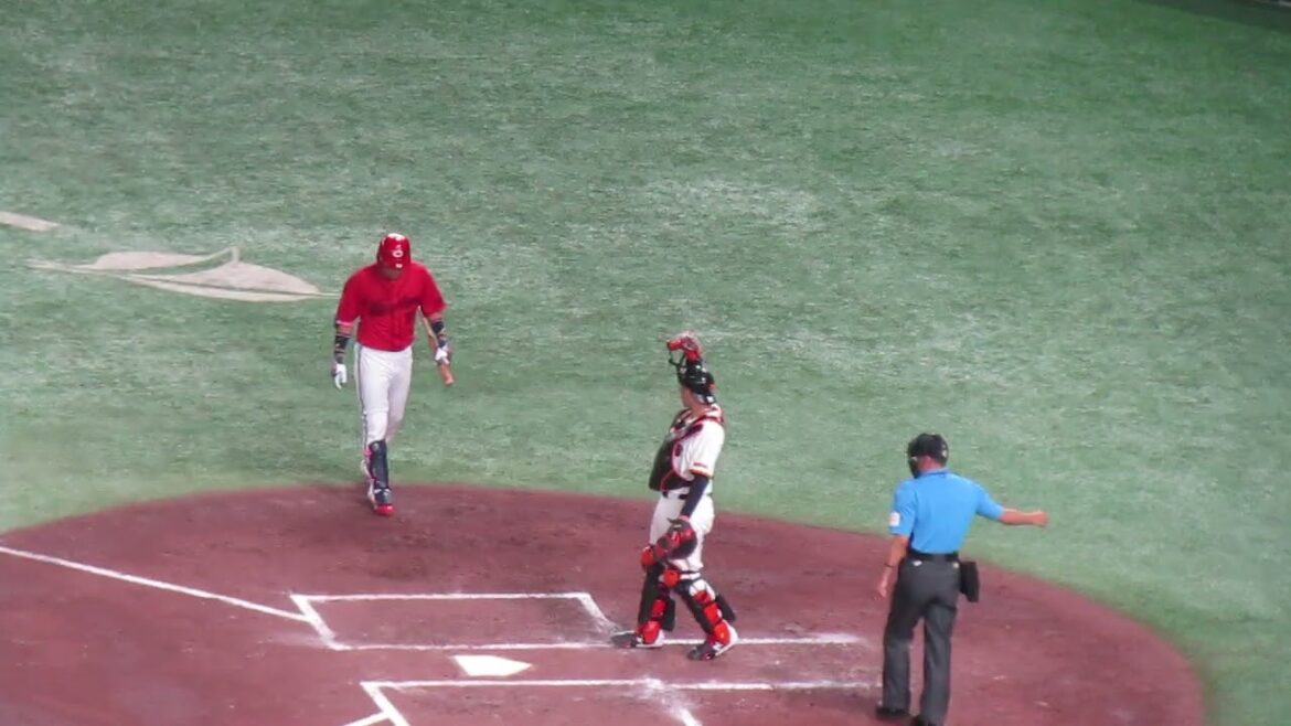 【カープ】野間峻祥の打撃フォーム 2024年8月6日 読売ジャイアンツ対 広島カープ