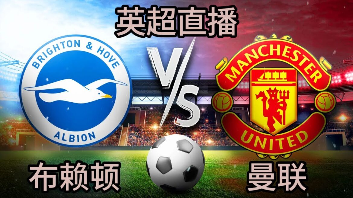 英超直播【布莱顿vs曼联】中文解说 2024-8-24