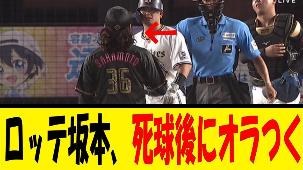 【悲報】ロッテ坂本さん、森友哉へ死球後にオラついてしまい炎上...【反応集】【野球反応集】【なんJ なんG野球反応】【2ch 5ch】