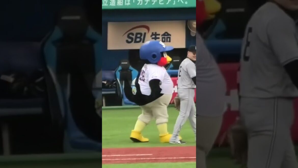 つば九郎、丸佳浩と何やら語らう #東京ヤクルトスワローズ  #横浜ジャイアンツ #shorts