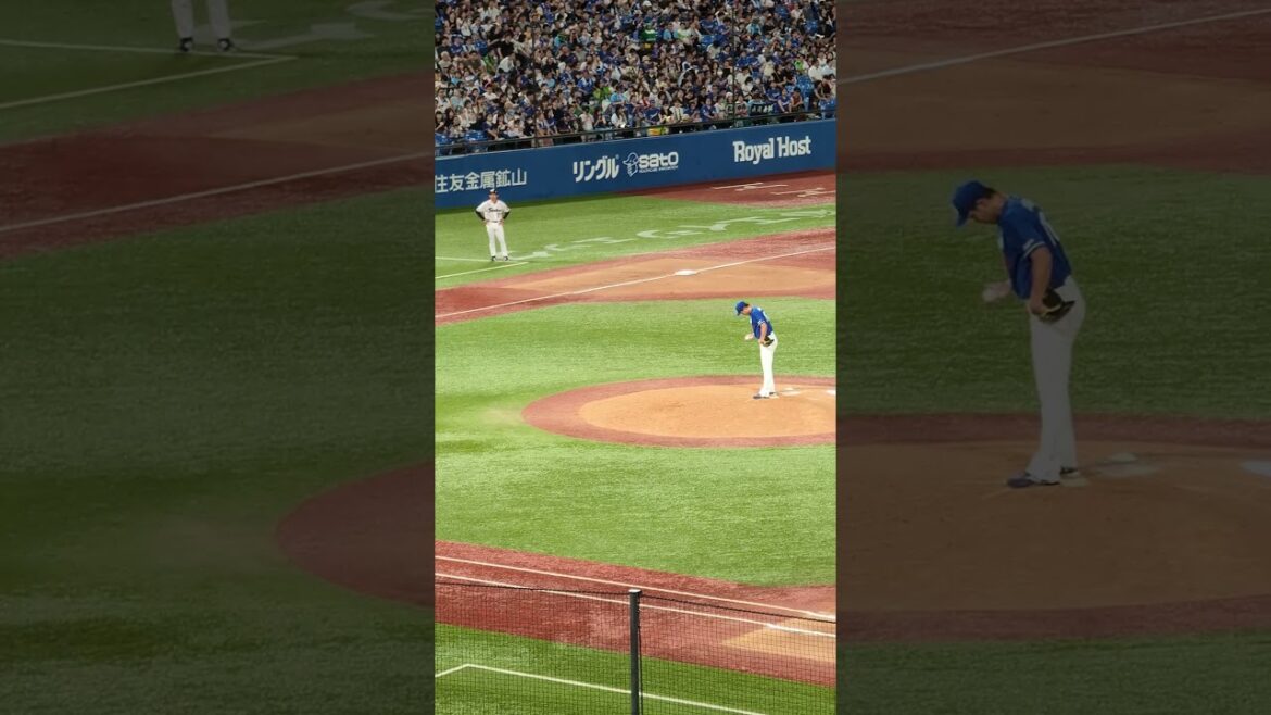 【2024-08-14】スワローズ VS ドラゴンズ 〜岩嵜翔投手のピッチング