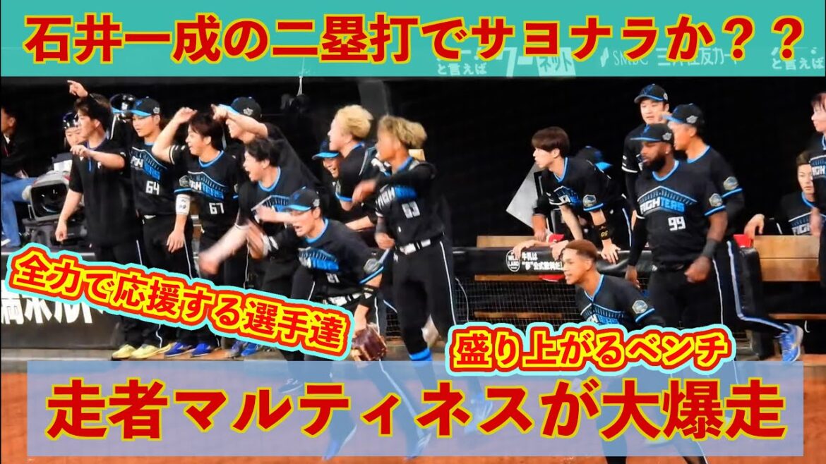【20240827】『12回裏ベンチの様子』マルティネスの爆走にベンチが盛り上がる!! 【20240827】『12回裏ベンチの様子』マルティネスの爆走にベンチが盛り上がる!!