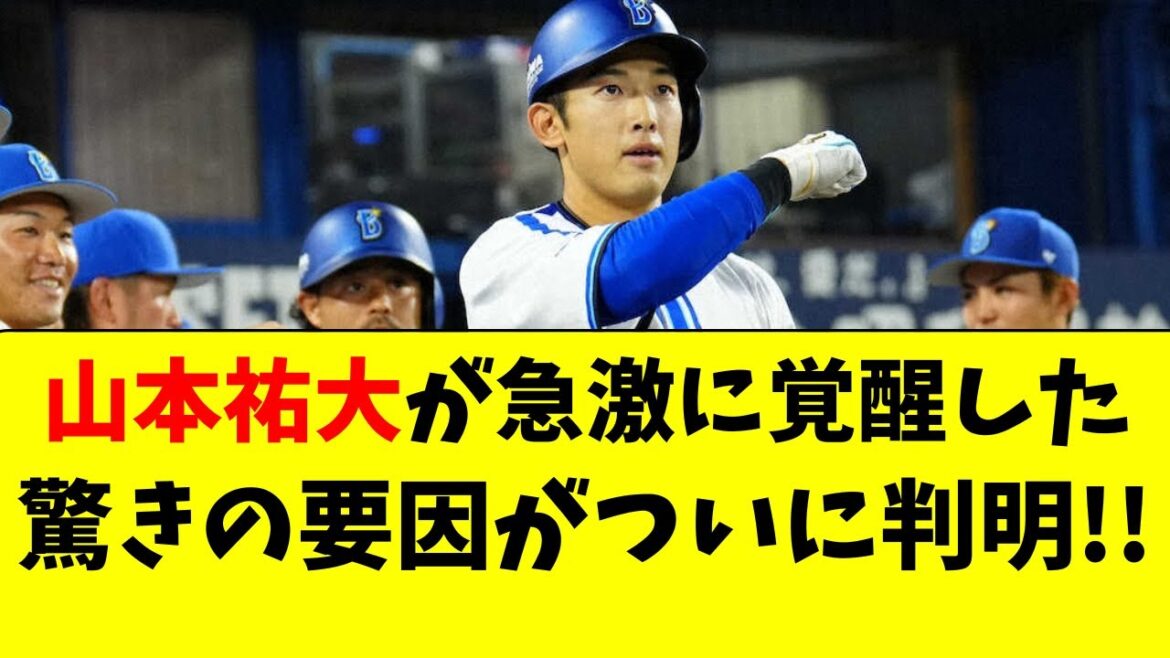 【DeNA】山本祐大の打撃が覚醒した理由、ついに判明する