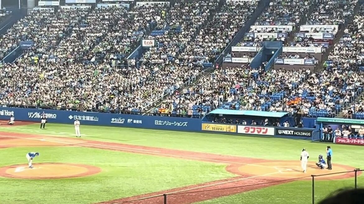 2024.8.14松本直樹応援歌【明治神宮球場】