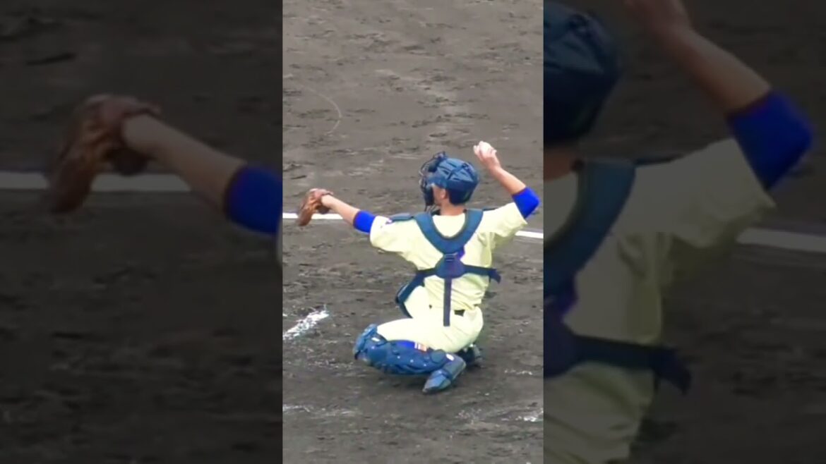 【内山壮真捕手】星稜 #shorts #内山壮真 #応援図鑑