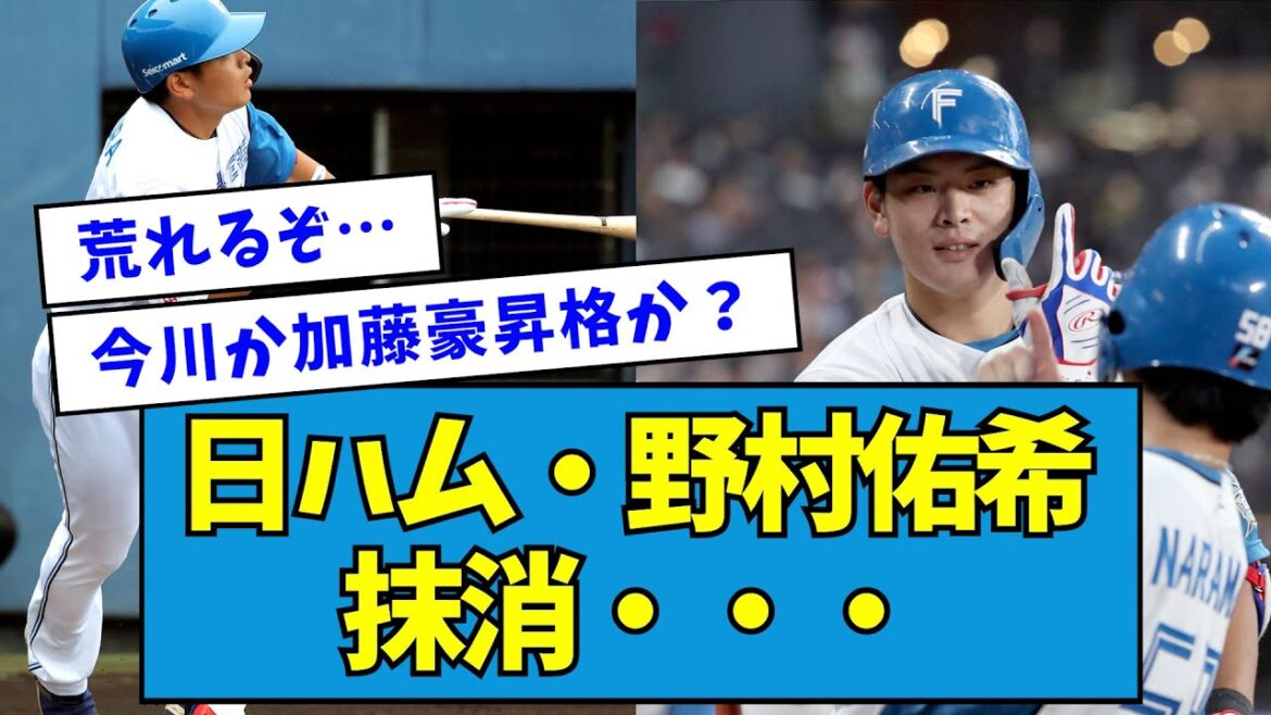 【悲報】日ハム・野村佑希、抹消・・・【なんJ反応】