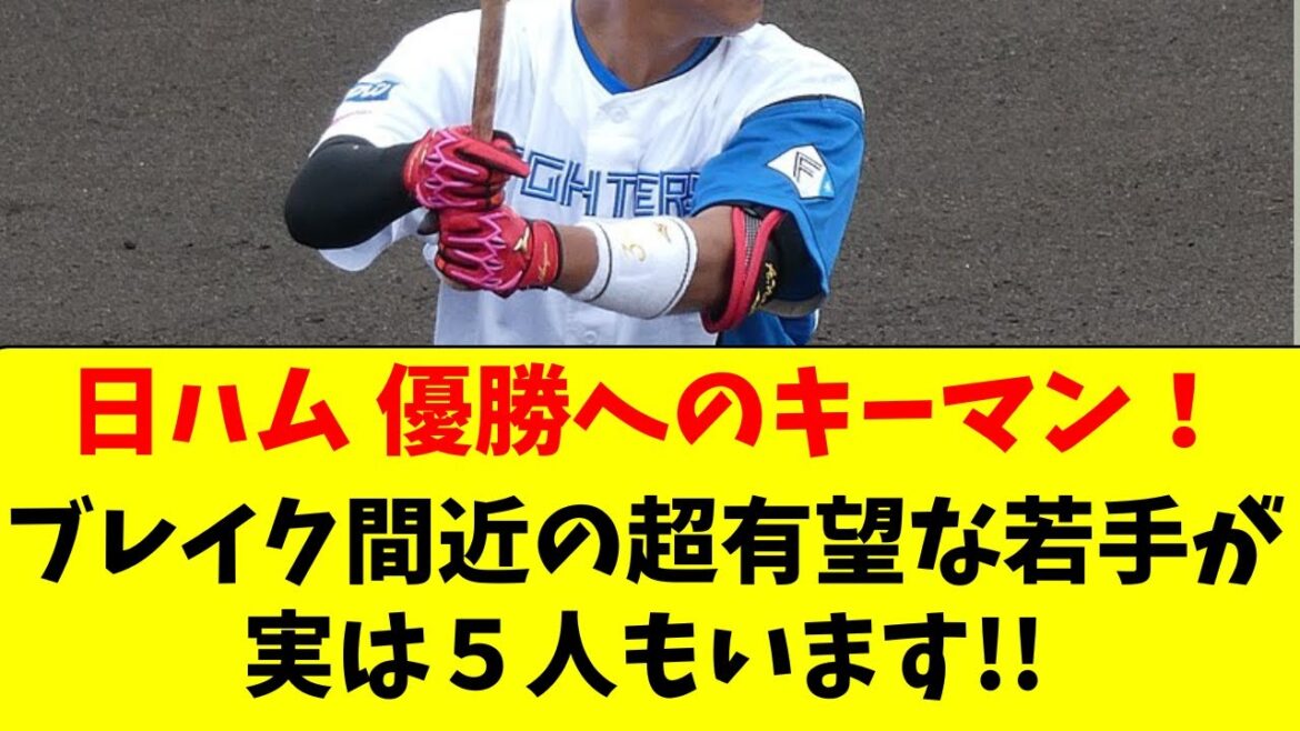 【日ハム】優勝へのキーマンとなる、ブレイク間近の若手５人